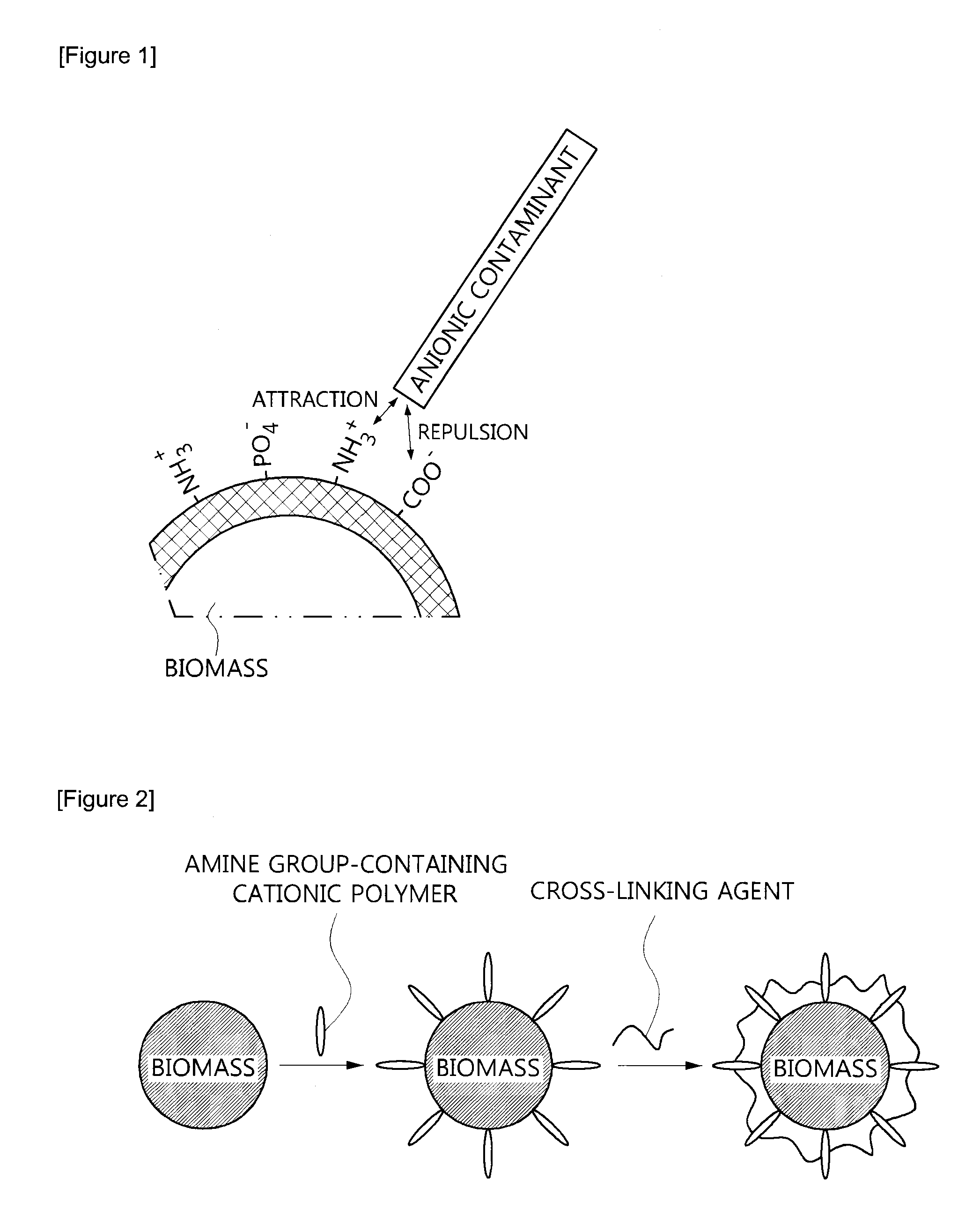 Surface-modified biomass, preparation method thereof, and method for recovering valuable metals using the same