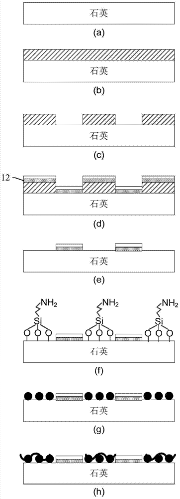 Label-free okadaic acid sensor based on self-catalytic growth of gold nanoparticles