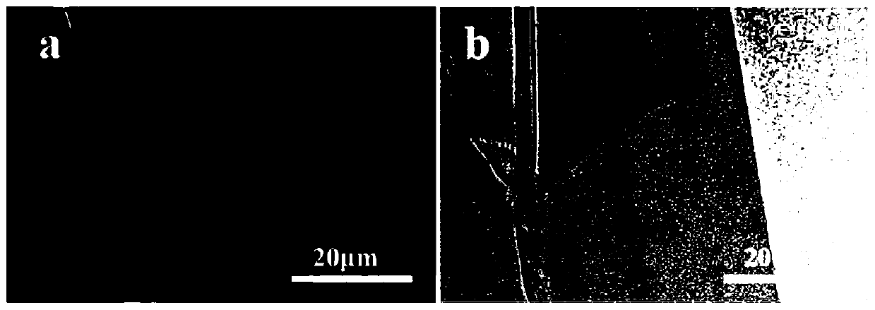 Method for preparing RGO/MXene-sulfuric acid supercapacitor flexible electrode with compact structure in one step and application of RGO/MXene-sulfuric acid supercapacitor flexible electrode