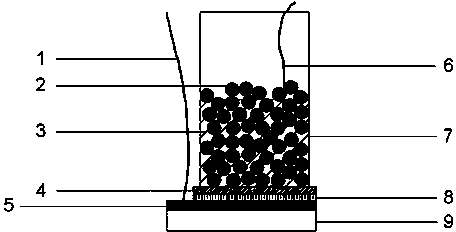 Direct carbon fuel cell device with liquid metal tin serving as anode