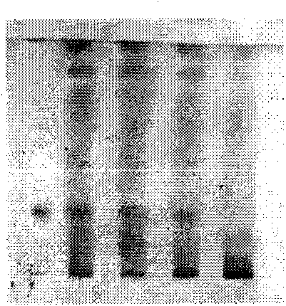 Quality control method of meridian warming pill as traditional Chinese medical preparation