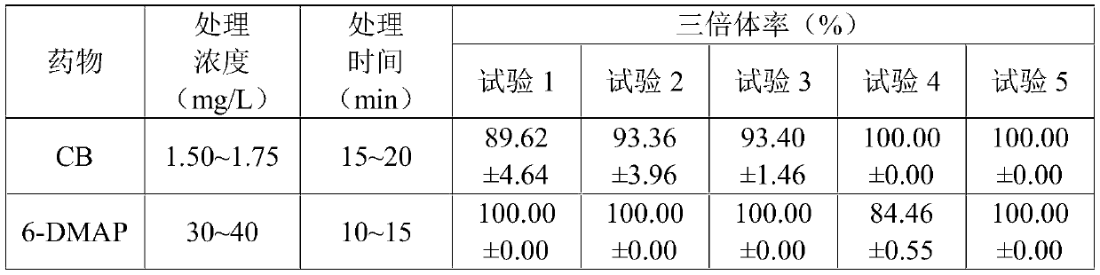 Induction method for haliotis discus hanai triploid