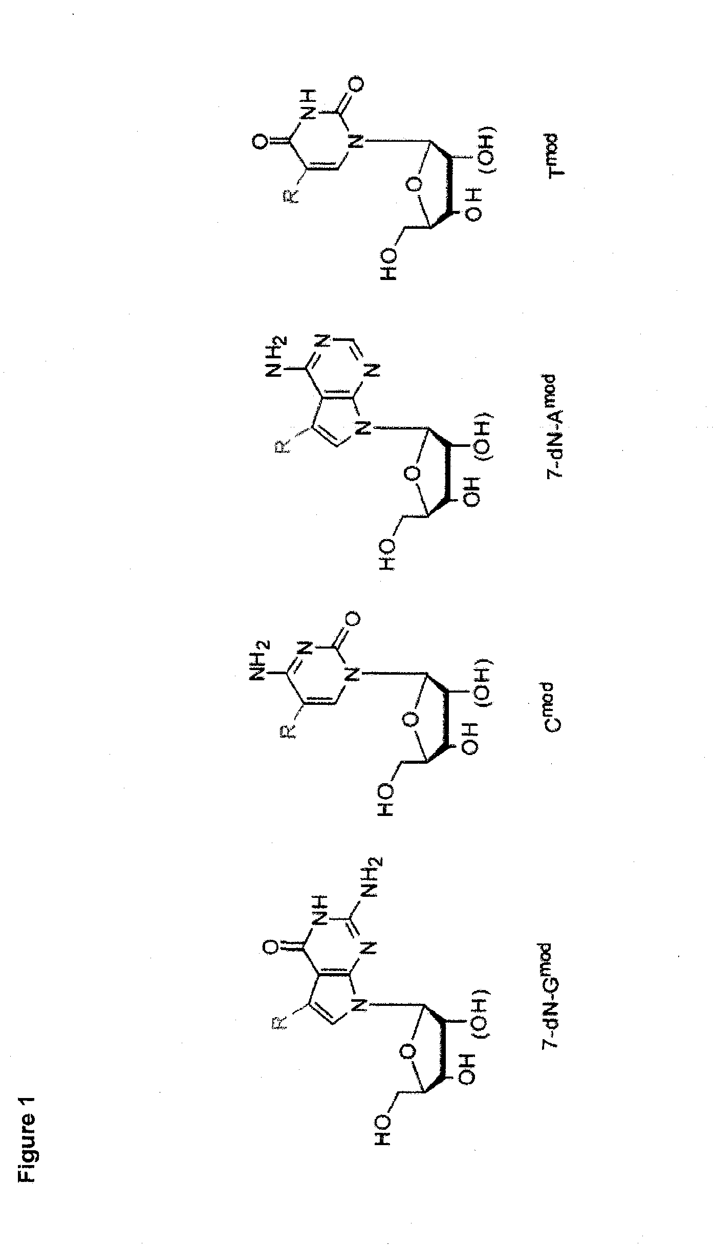 Labelling Strategies for the Sensitive Detection of Analytes