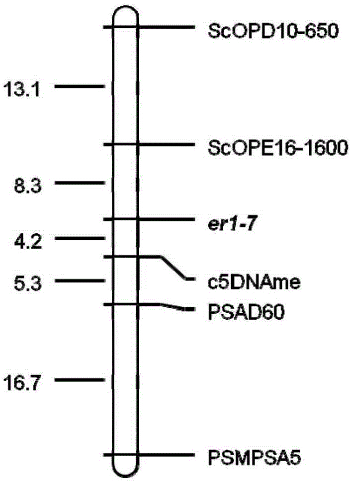 Pea anti-powdery mildew er1 allele er1-7 and gene er1-7 linked-molecular marker