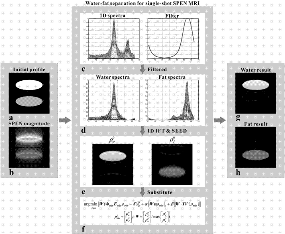 A Water-fat Separation and Reconstruction Method Based on Single-Scan Spatiotemporal Encoded Magnetic Resonance Imaging