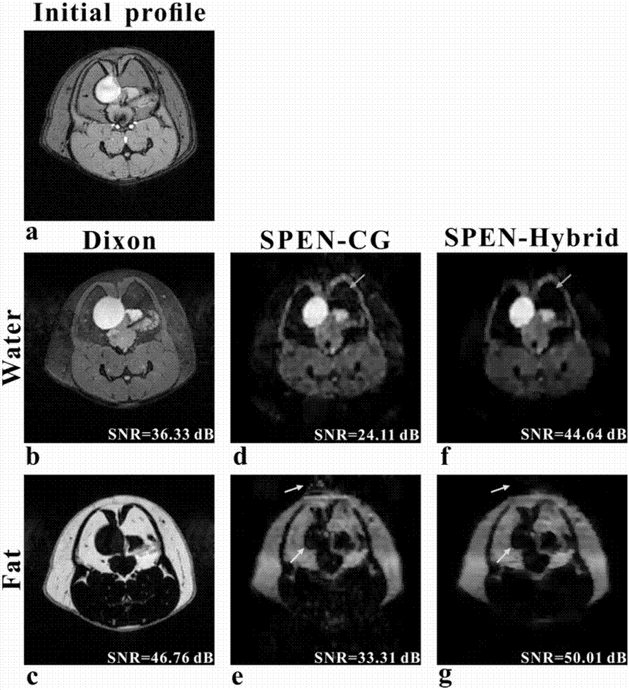 A Water-fat Separation and Reconstruction Method Based on Single-Scan Spatiotemporal Encoded Magnetic Resonance Imaging
