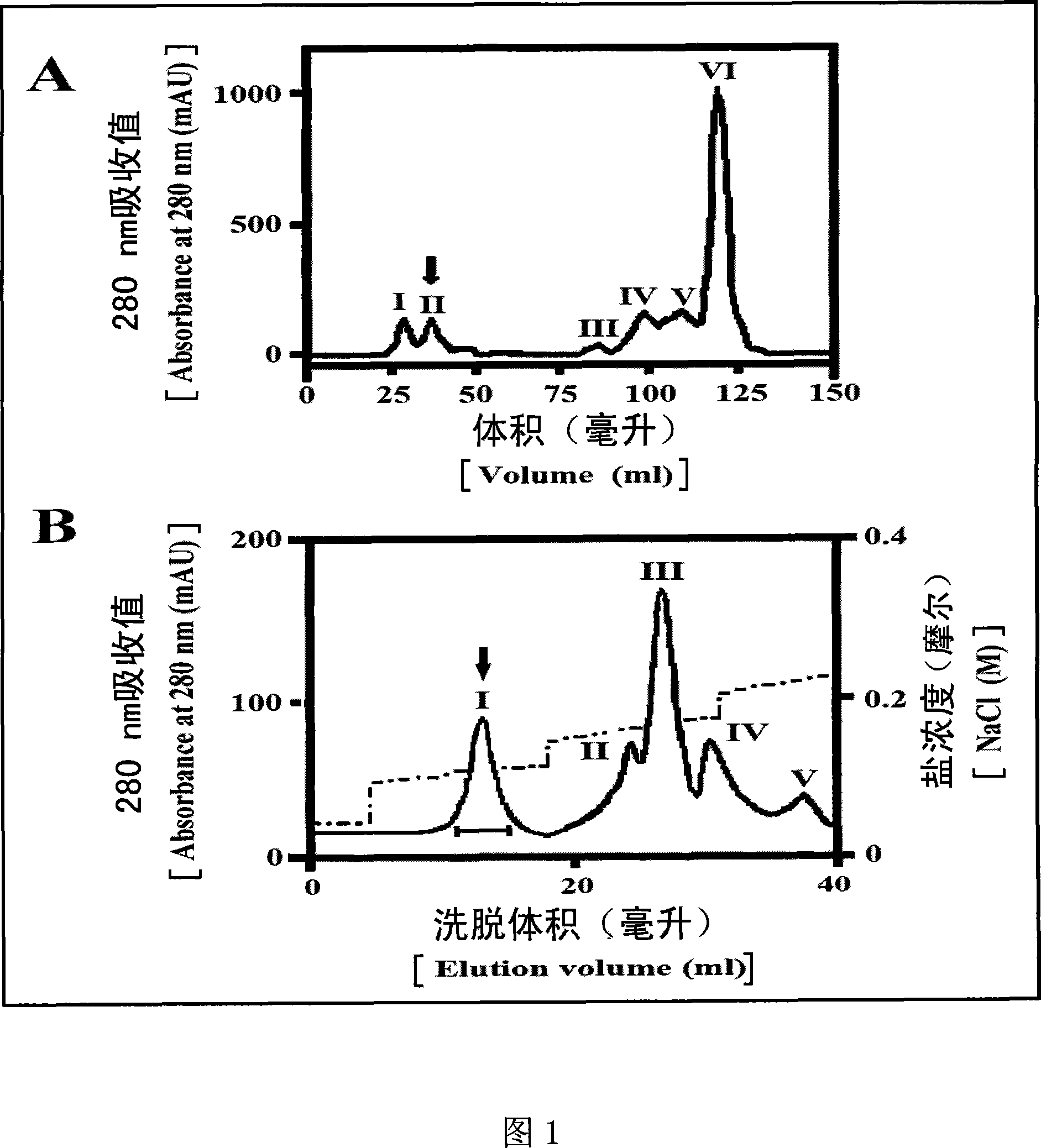 Bombina maxima non-crystalline beta gamma-crystallin and trefoil factor protein compound and gene as well as preparation and use thereof