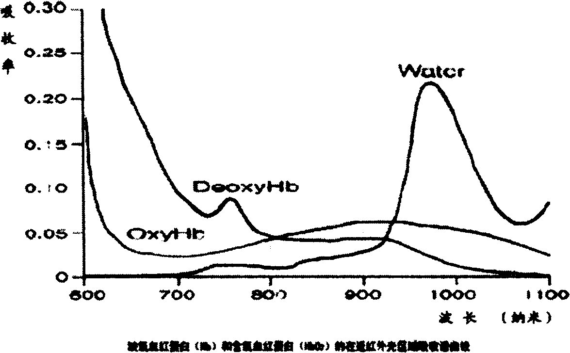 Mammary gland blood oxygen function imaging method and system