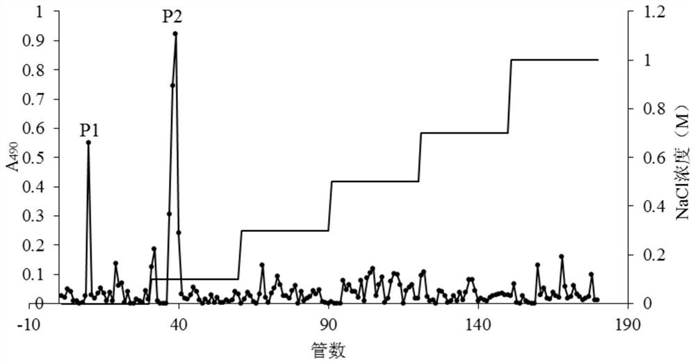 A method for extracting and separating and purifying polysaccharides from the leftovers of Cordyceps militaris culture medium