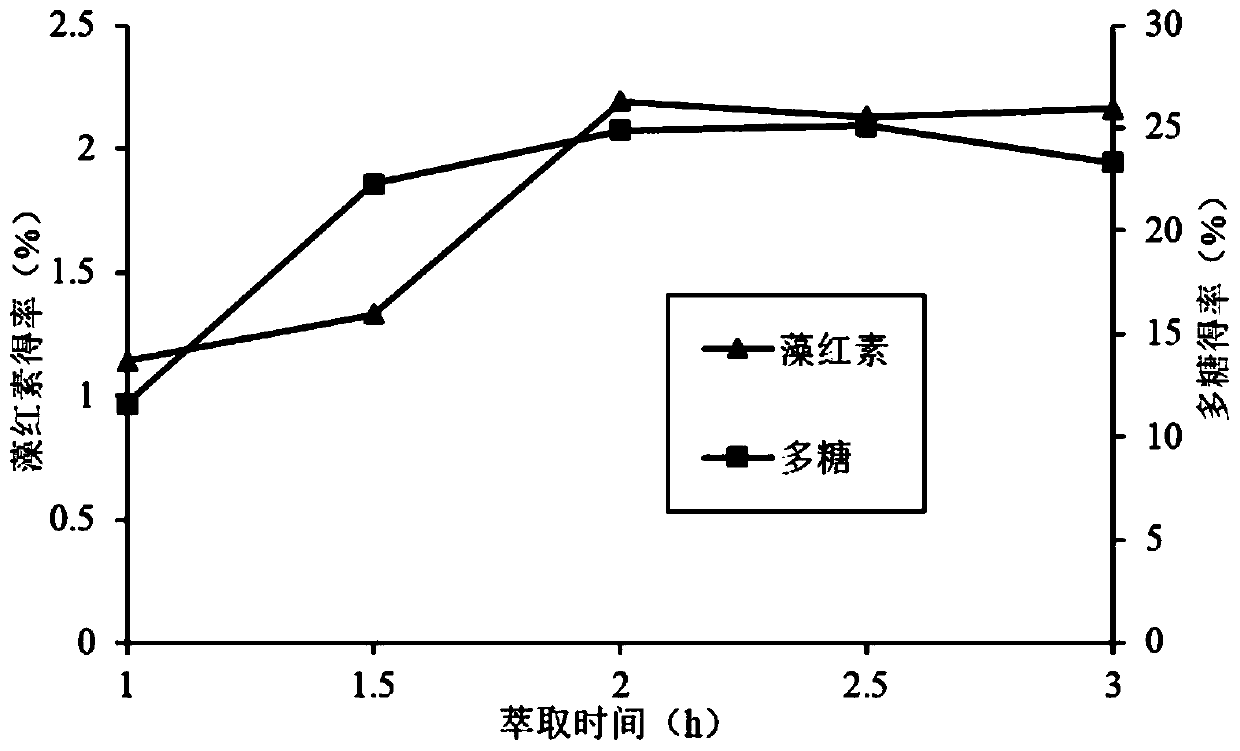 Preparation method for extracting phycoerythrobilin, polysaccharides and dietary fibers from low valued lavers and application of preparation method