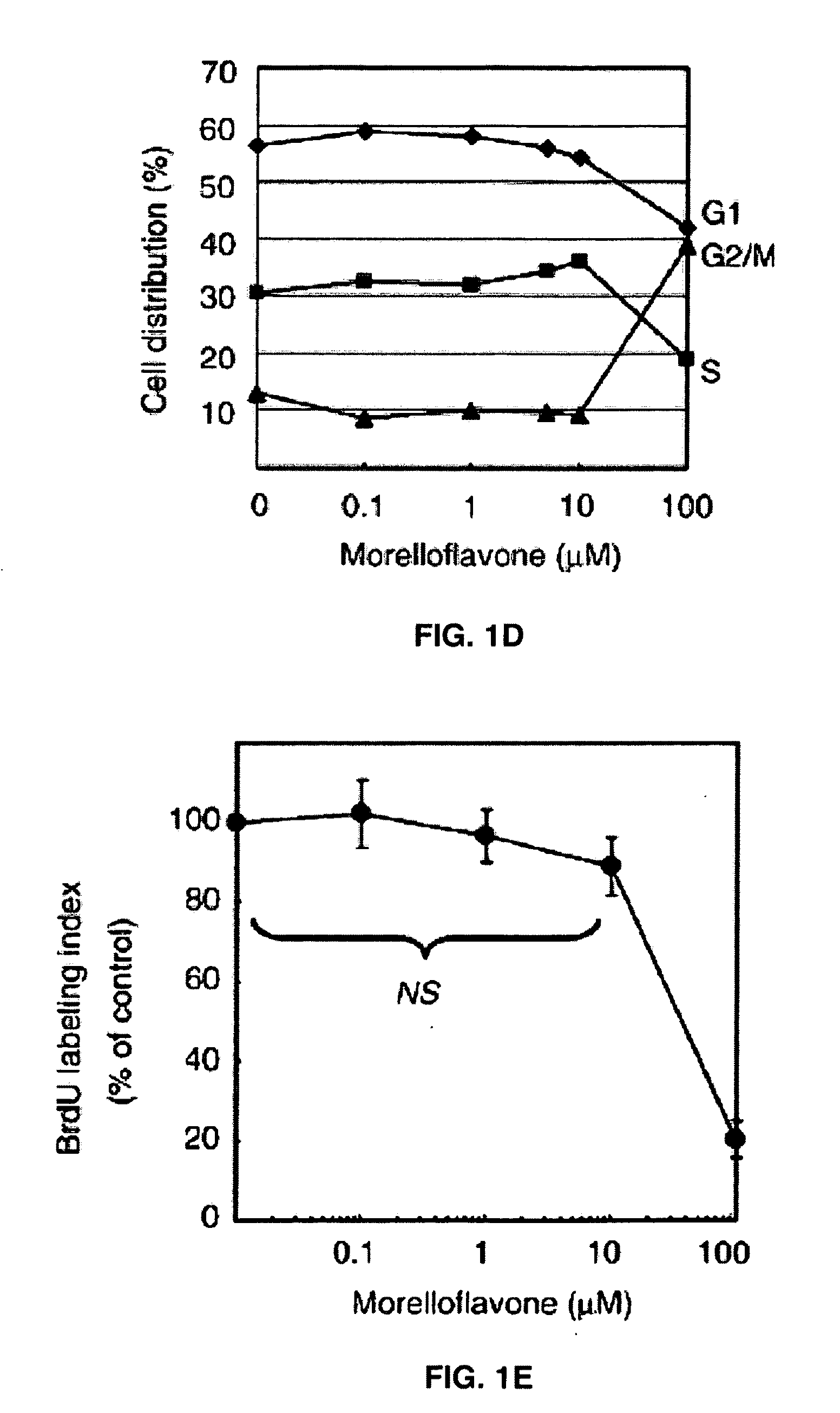 Uses of morelloflavone