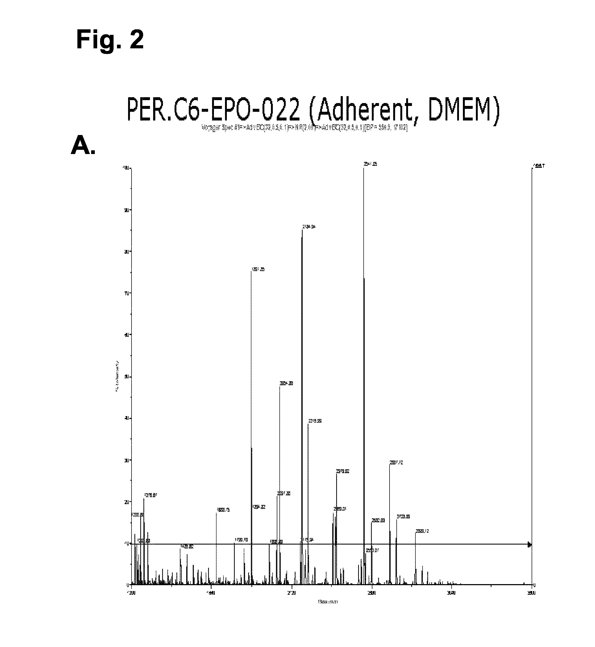 Methods to obtain recombinant proteins with increased sialylation from cells that express adenovirus E1A protein, and proteins obtained thereby