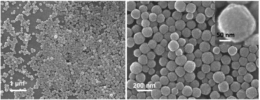 NiS2 mesoporous nanosphere material, preparation method thereof and application