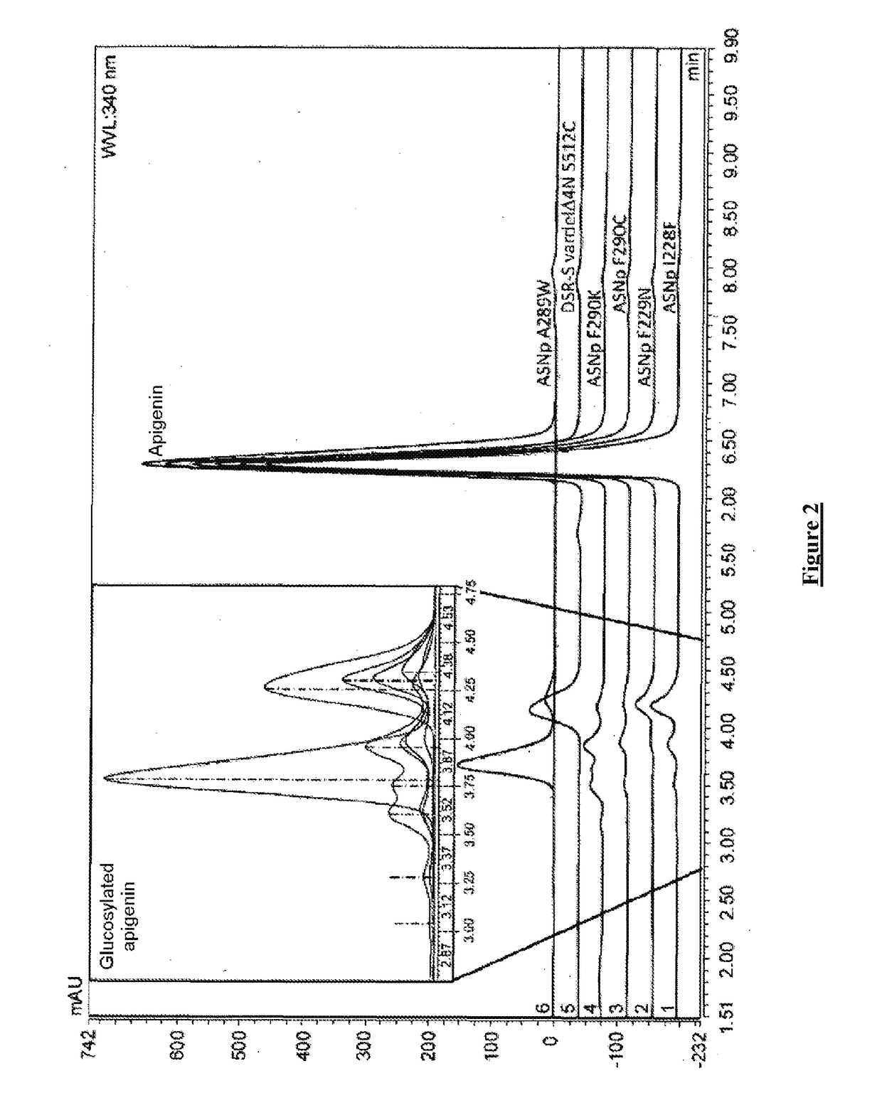 Novel flavonoids o-a-glucosylated on the b cycle, method for the production thereof and uses