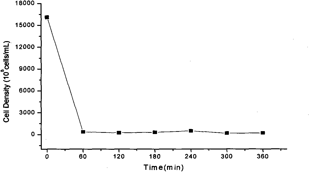Method for immobilizing pseudoalteromonas sp. SP48 by polyurethane foam
