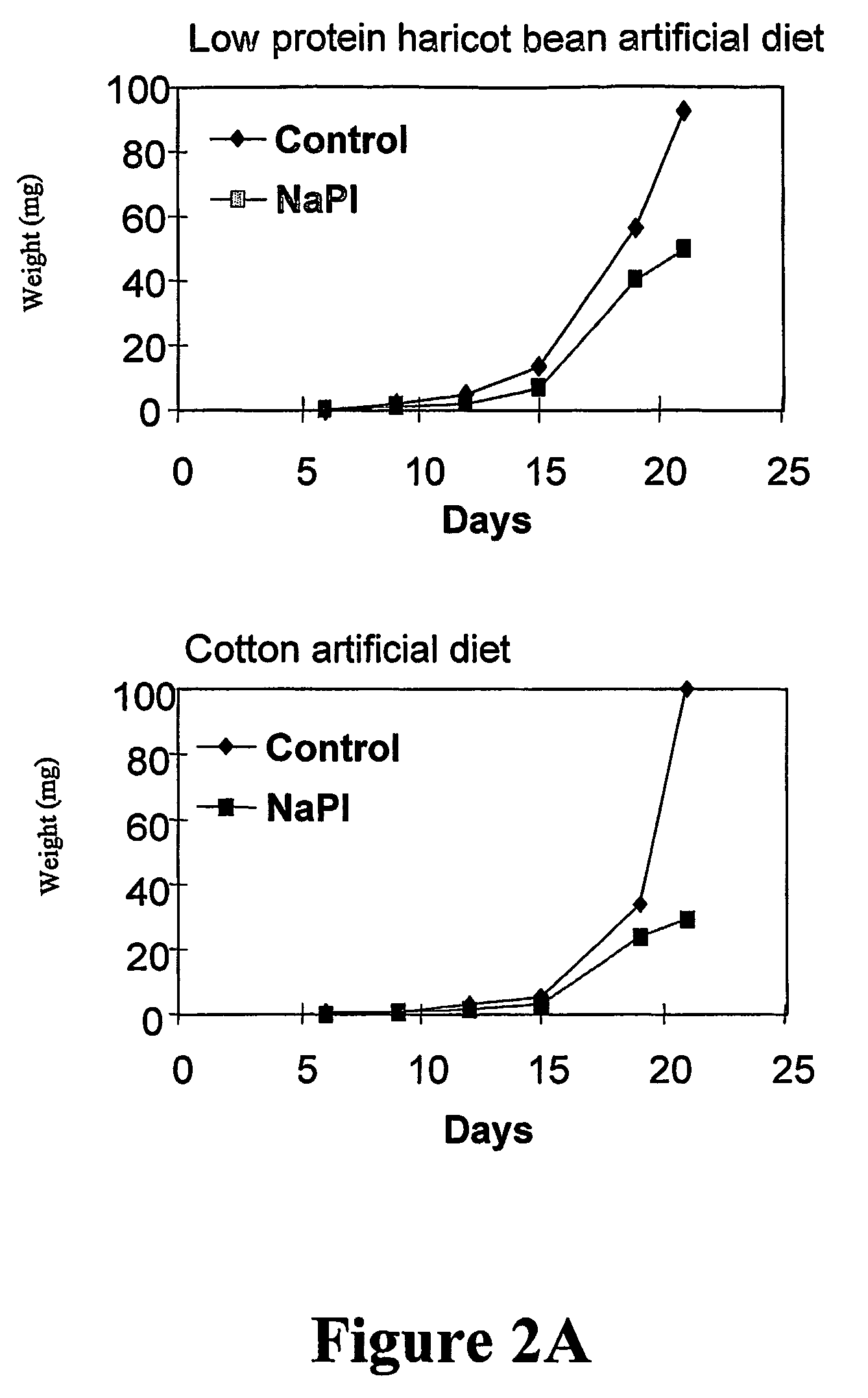 Insect chymotrypsin and inhibitors thereof