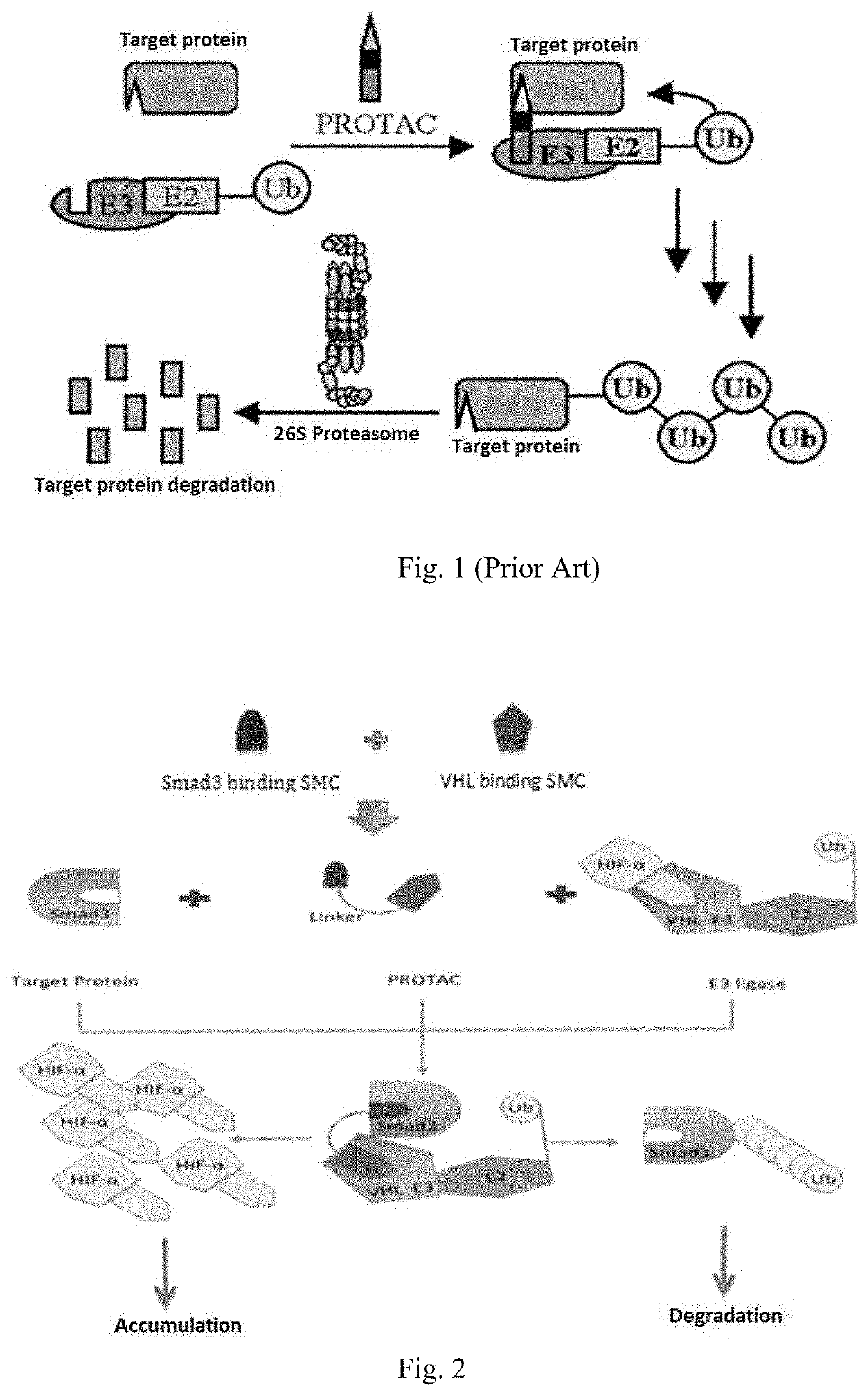 Method of constructing protac by using double targets