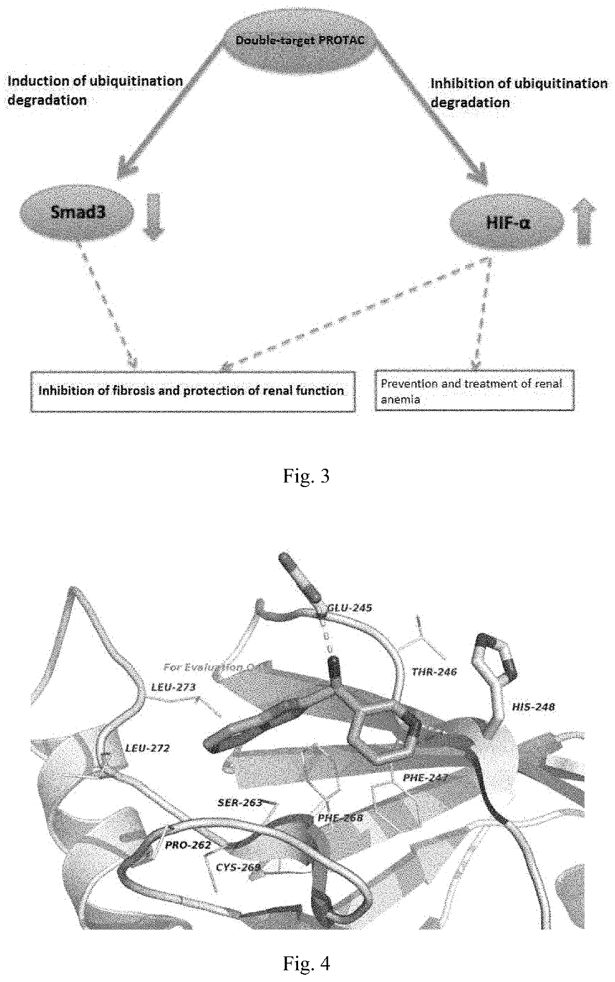 Method of constructing protac by using double targets