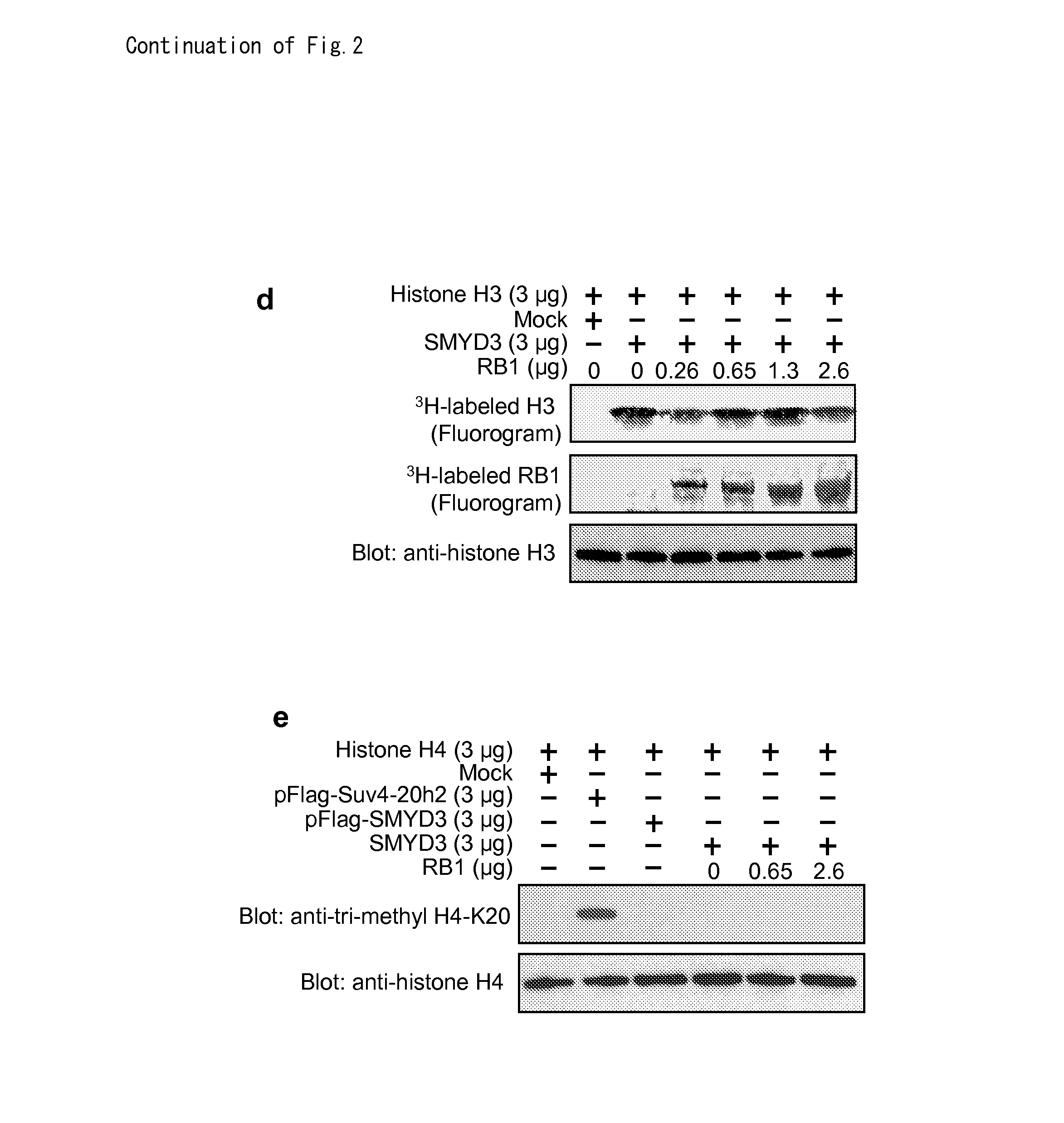 Methods of modulating smyd3 for treatment of cancer