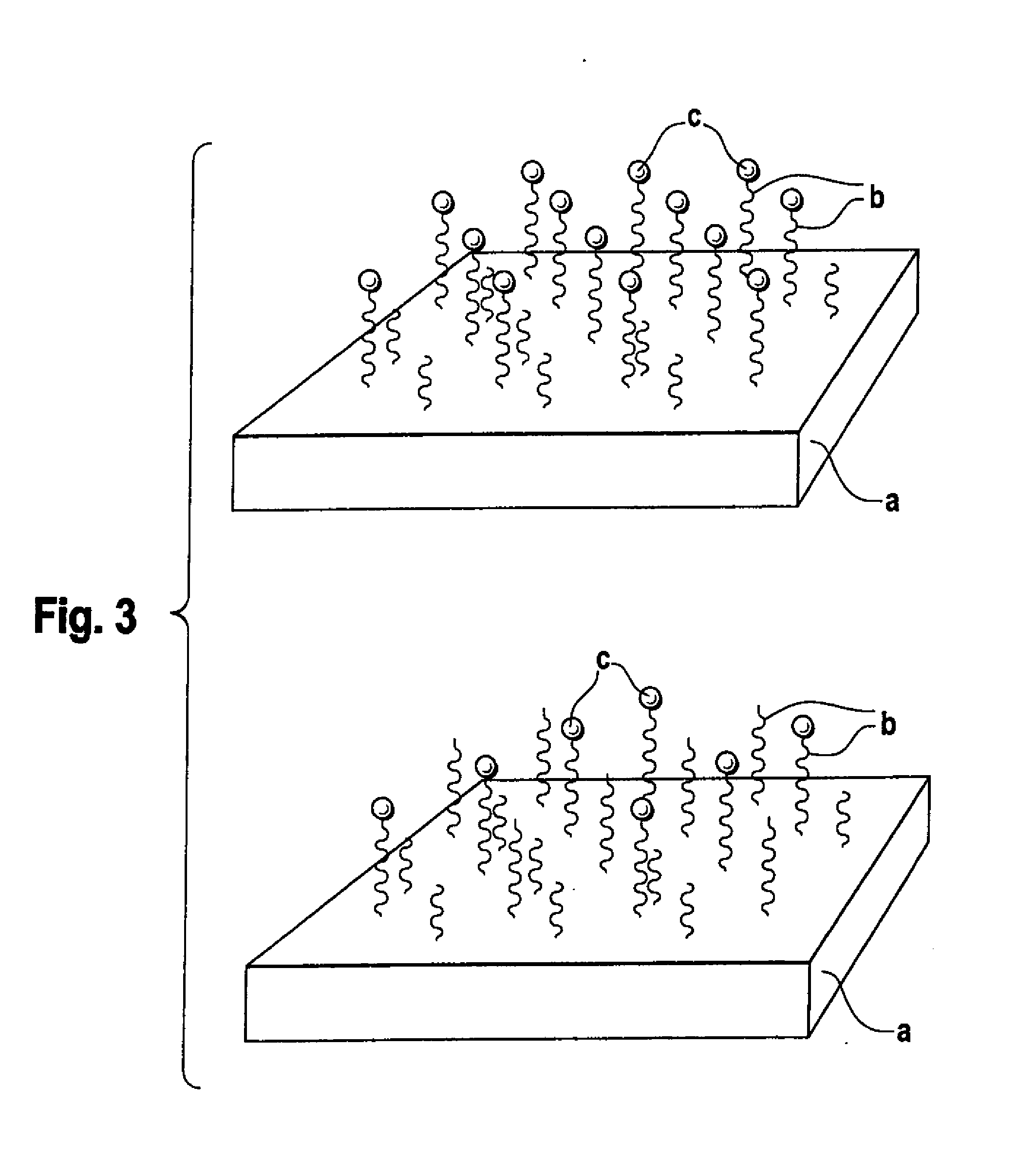 Biodegradable block copolymers with modifiable surface