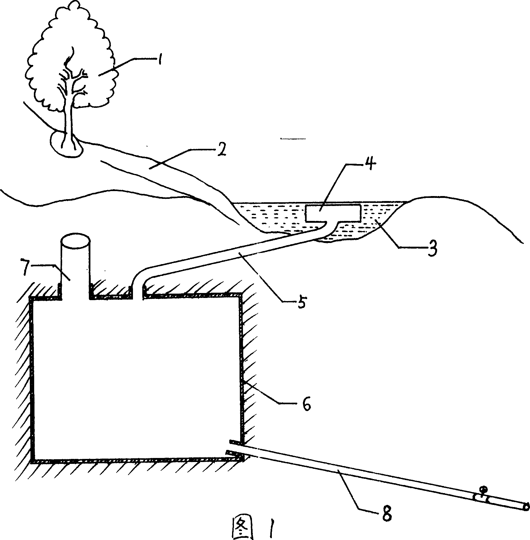 Water cellar with liner and water collection method therefor