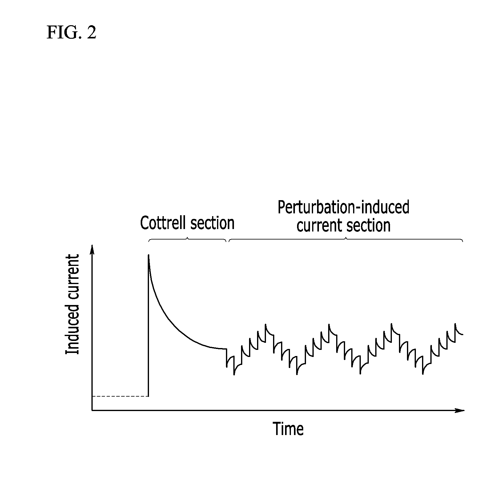 Apparatus and method for measuring concentration of whole blood samples
