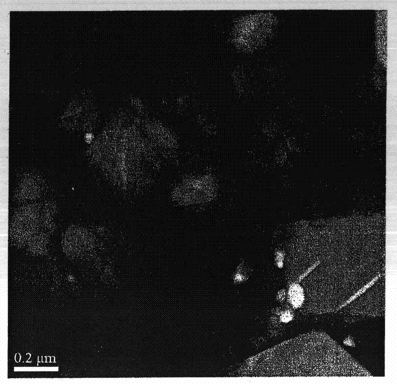 Anode active material and nonaqueous secondary battery including anode having the anode active material