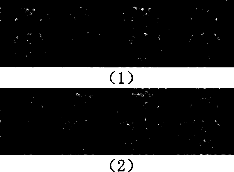 Human face recognition system and method based on second-order two-dimension principal component analysis