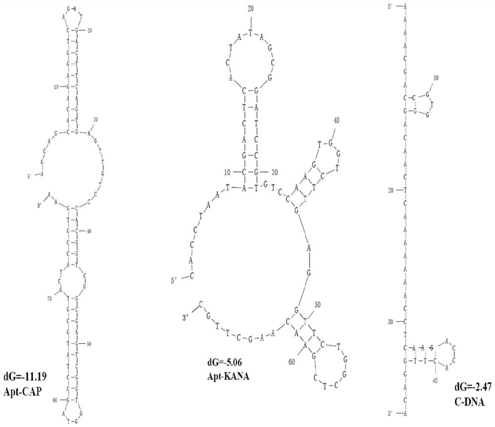 Method of establishing double-detection sensor for antibiotics based on aptamers