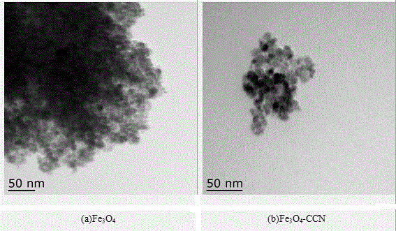 Method for adsorbing lead ions in solution by nanocrystalline cellulose magnetic particles