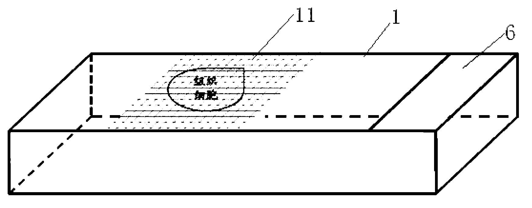 Multifunctional tissue cell stereology quantitative analysis slide system