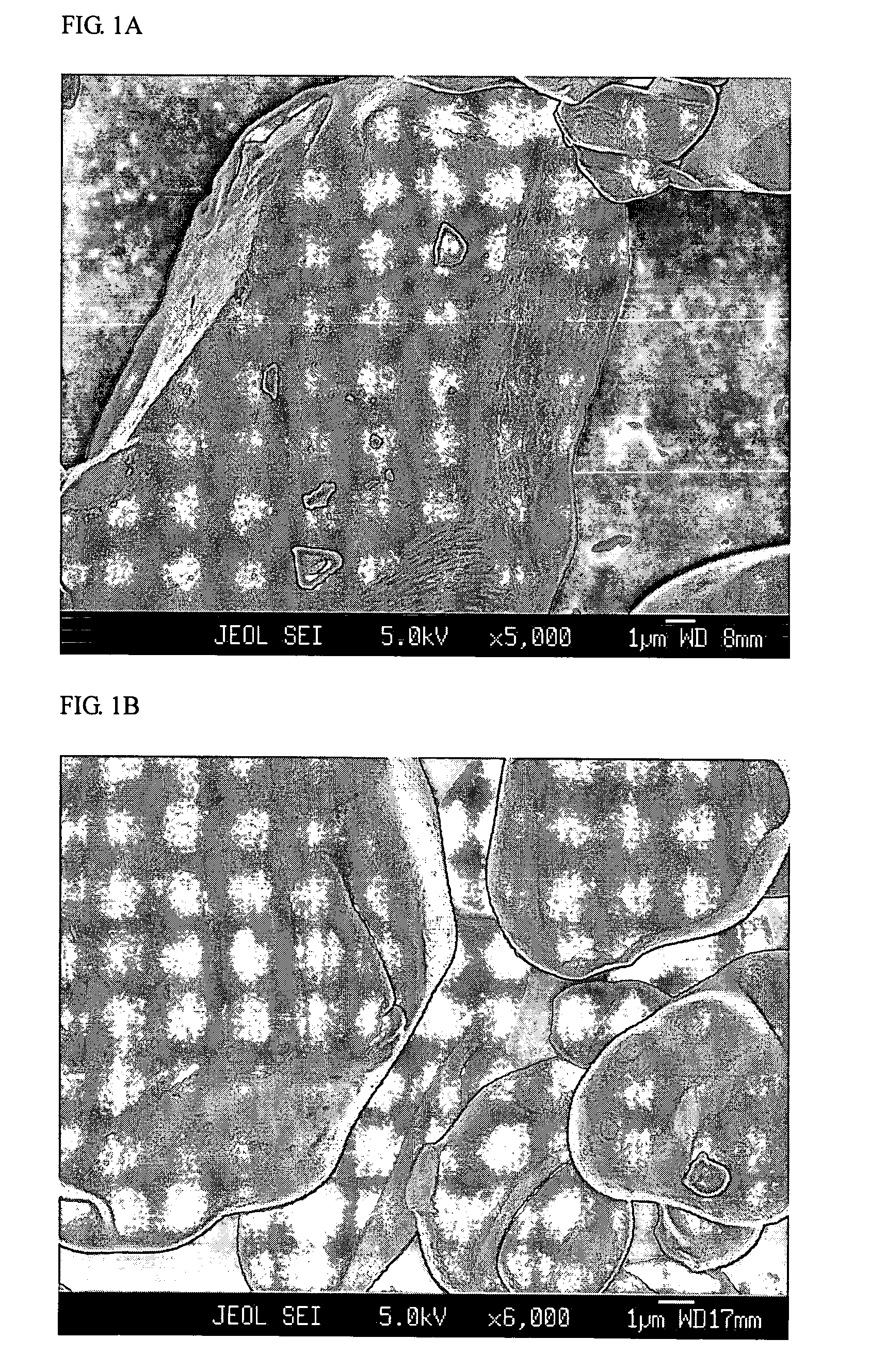 Powdered lithium transition metal oxide having doped interface layer and outer layer and method for preparation of the same