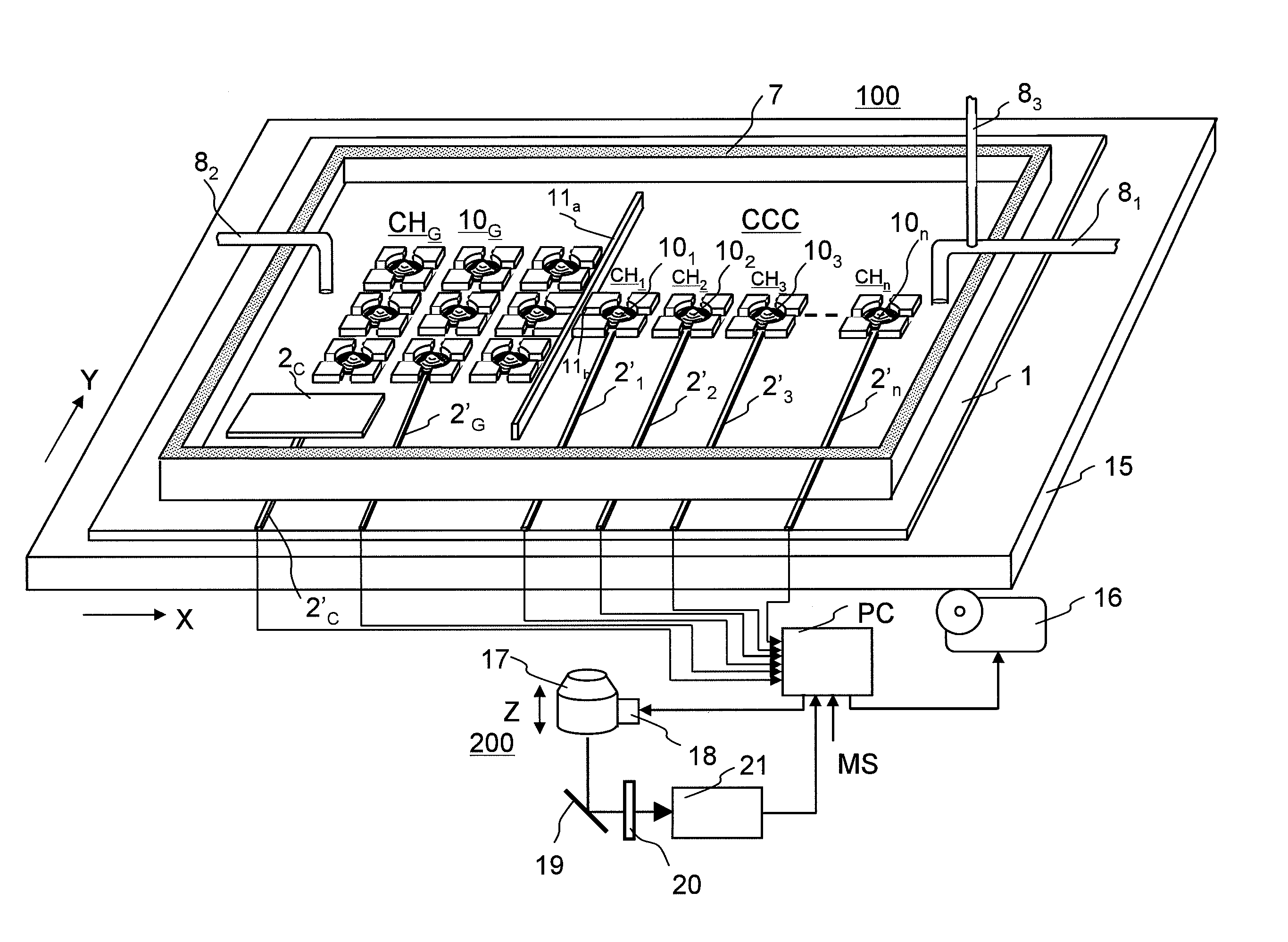 Model cell chip, apparatus for evaluating drug effect using the model cell chip and method of evaluating drug effect