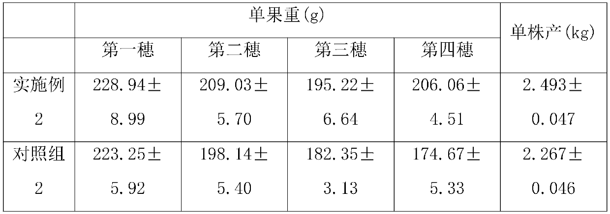 Method for accelerating solanum lycopersicum fruit to swell and mature