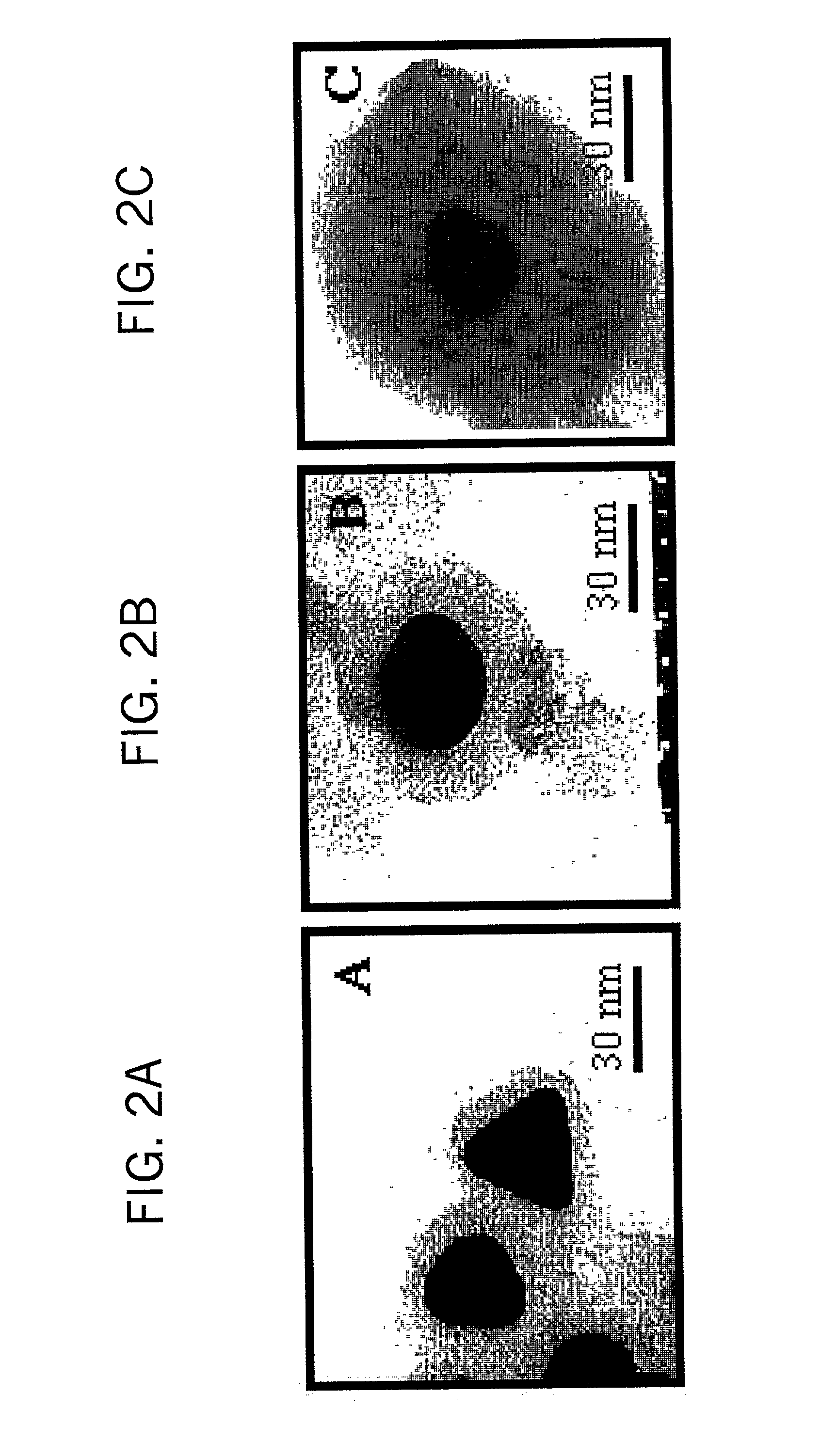 Nanoparticle composites and nanocapsules for guest encapsulation and methods for synthesizing same