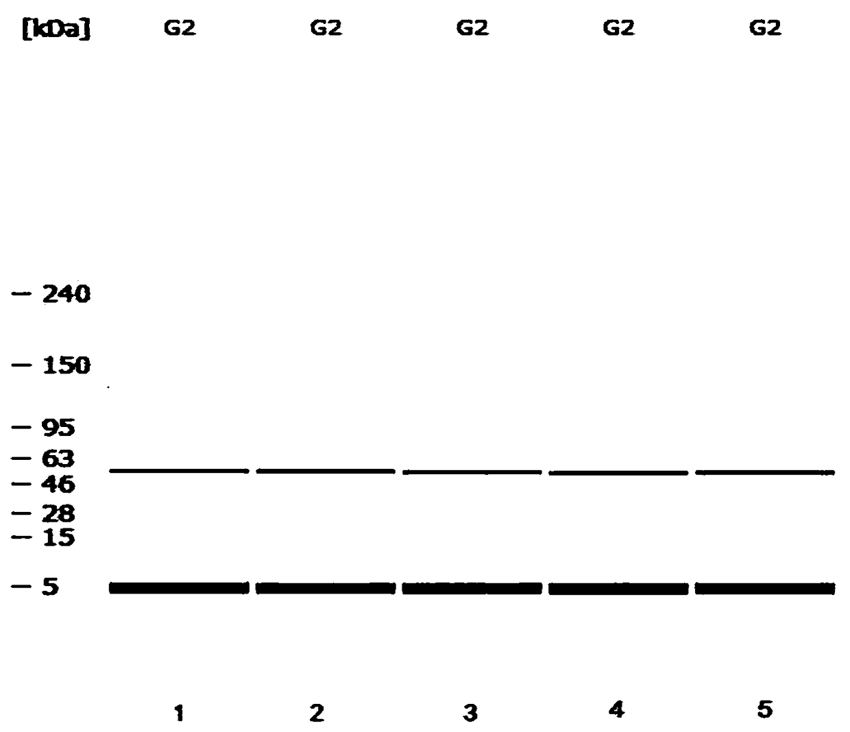 Method for fixing value of standard substance of G2 EPSPS protein solution
