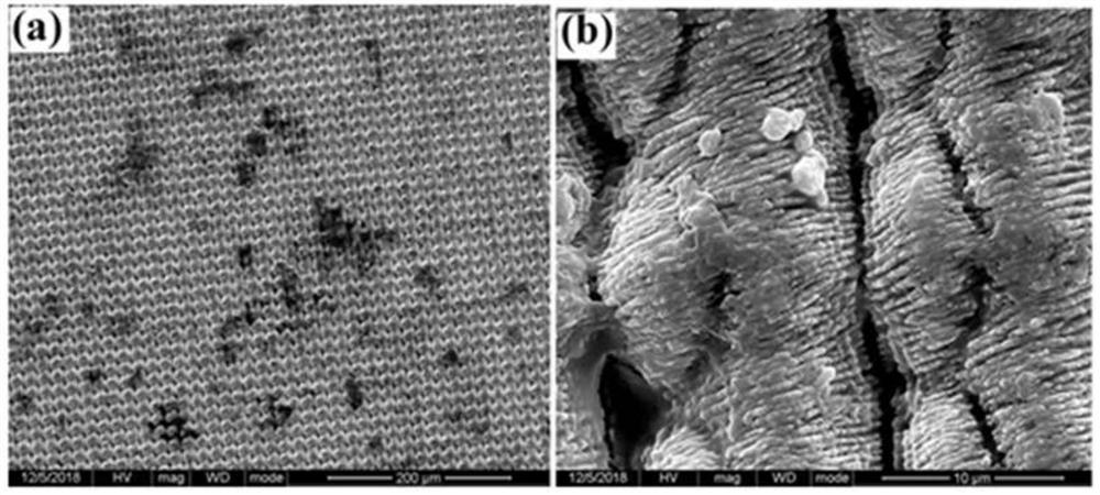 Femtosecond laser ablation-surface coating combined processing method for super-hydrophobic surface