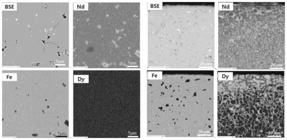 Neodymium-iron-boron permanent magnet material prepared from Dy and preparation method thereof