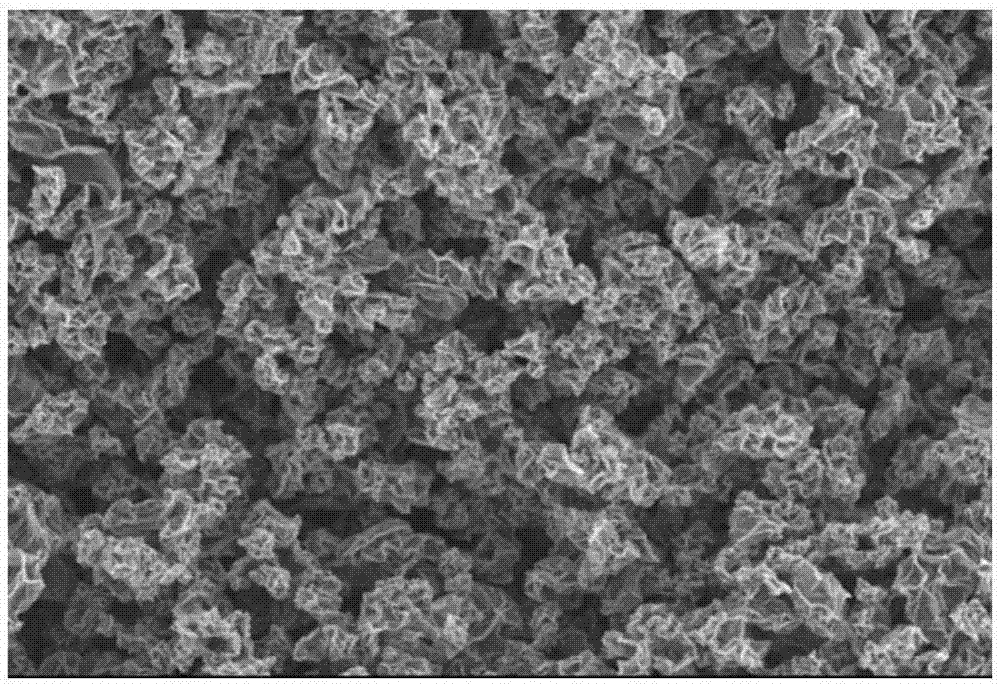 Preparation method for graphene/nylon 6 nano composite material