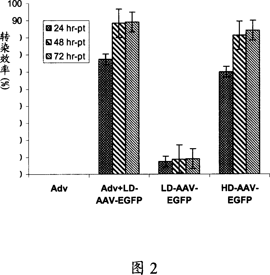 Compsn of anti-blood generating factor contg adeno-associated virus mediation and its application