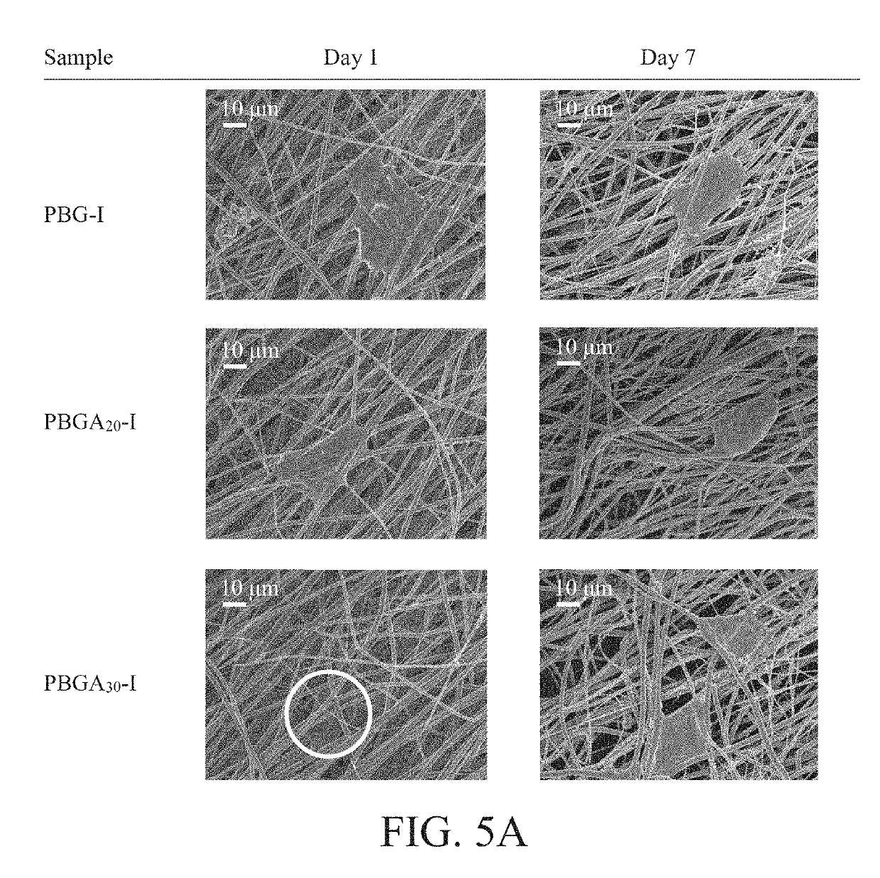 Polypeptide copolymer, porous fibrous scaffold including the same and method for nerve regeneration or growth