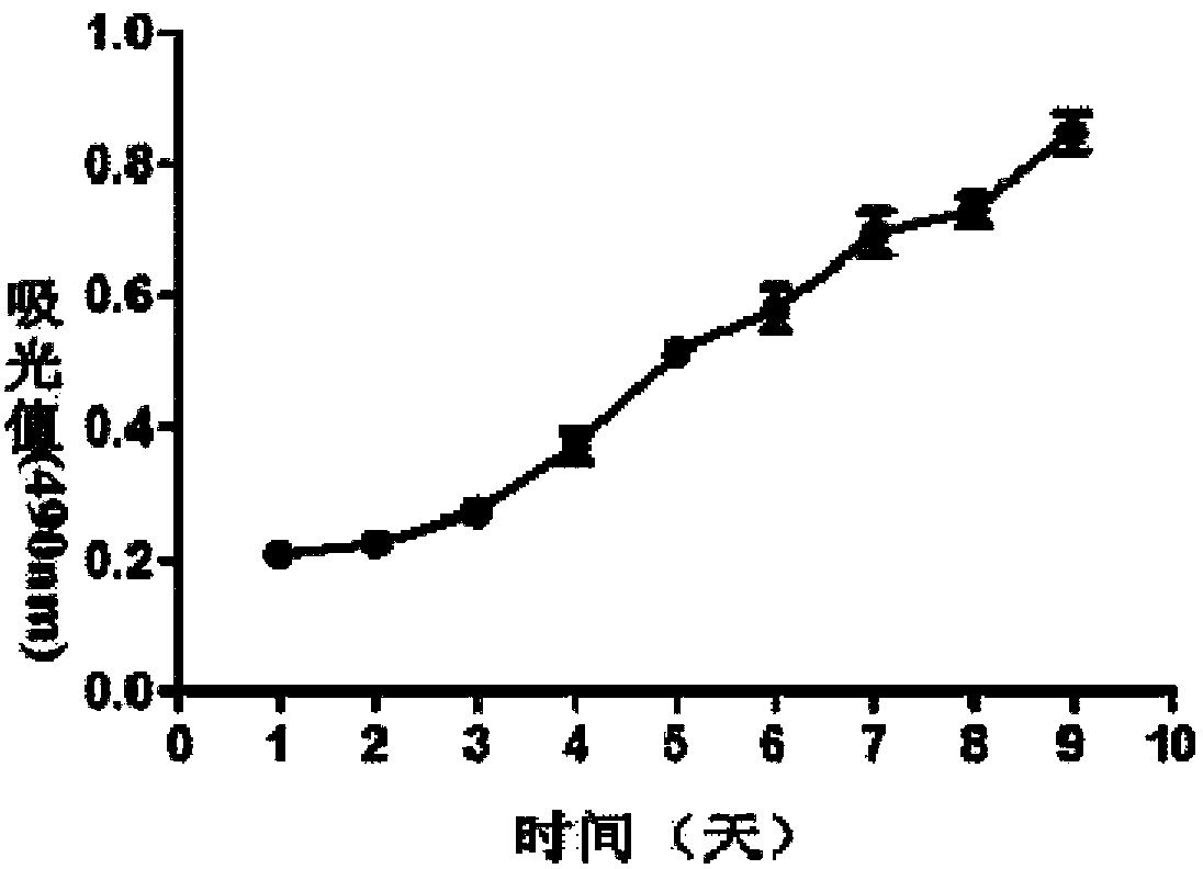 Ming classification human expansive type gastric cancer cell line and application thereof