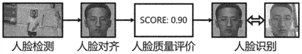 Face quality evaluation method and system based on random embedding stability