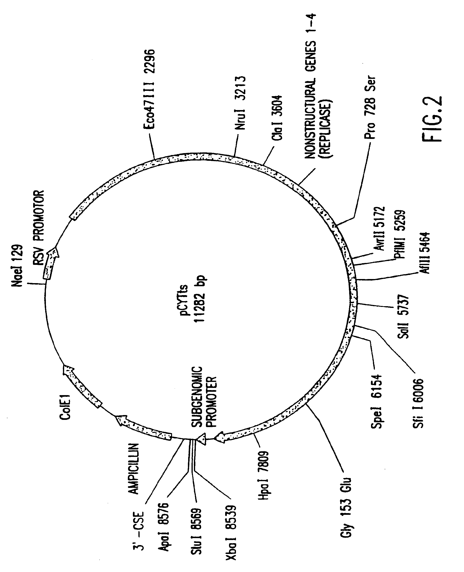 Inducible alphaviral gene expression system