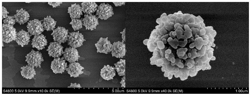 A click chemistry method for rapid preparation of micron-scale functionalized porous polymer microspheres