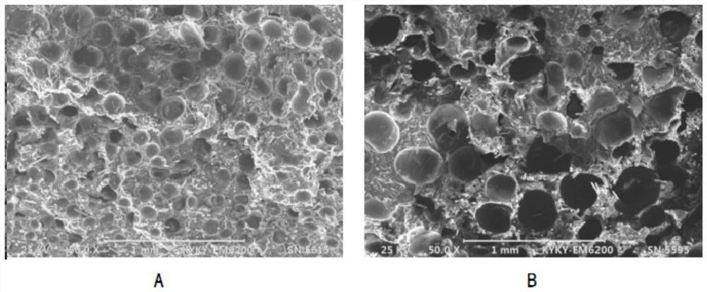 Micro-foaming polyamide magnetic plastic based on organic fluorine modification and preparation method of micro-foaming polyamide magnetic plastic