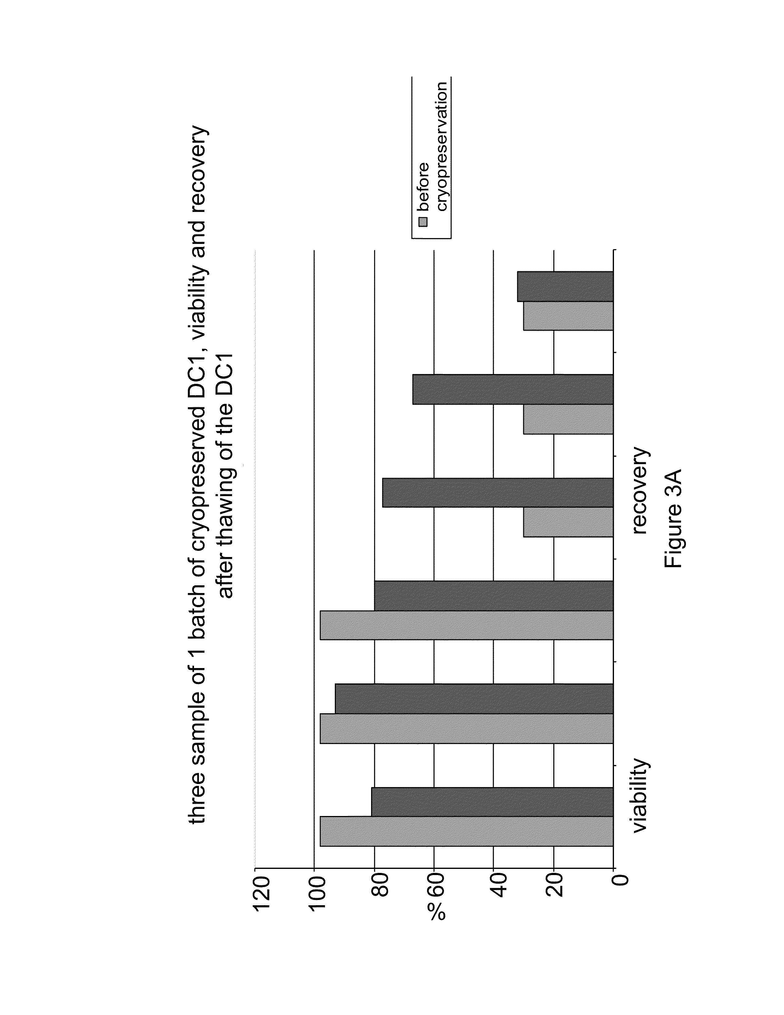 System and Method of Preparing and Storing Activated Mature Dendritic Cells