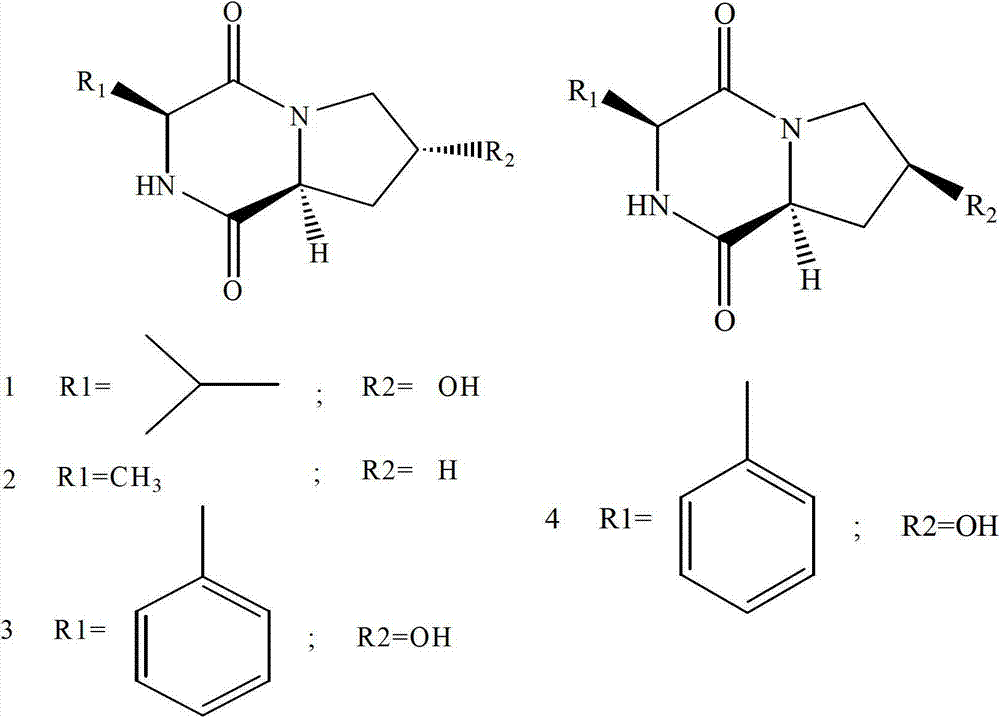 Application of stenotrophomonas rhizophila and cyclic dipeptide metabolite thereof