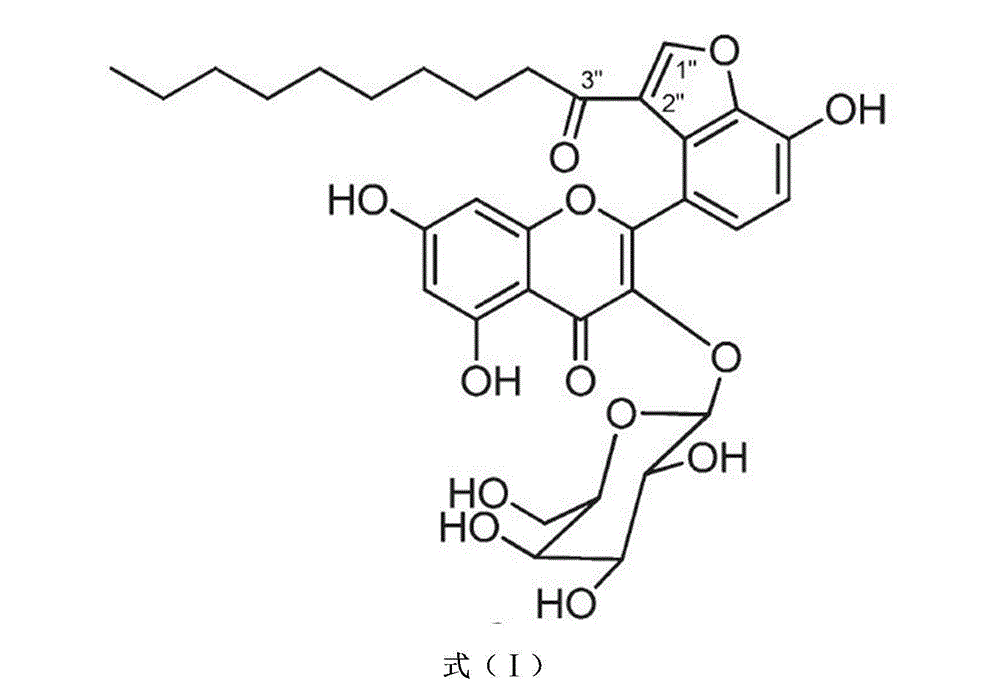 Application of Houttuynoid C in anti-tubercle bacillus medicine