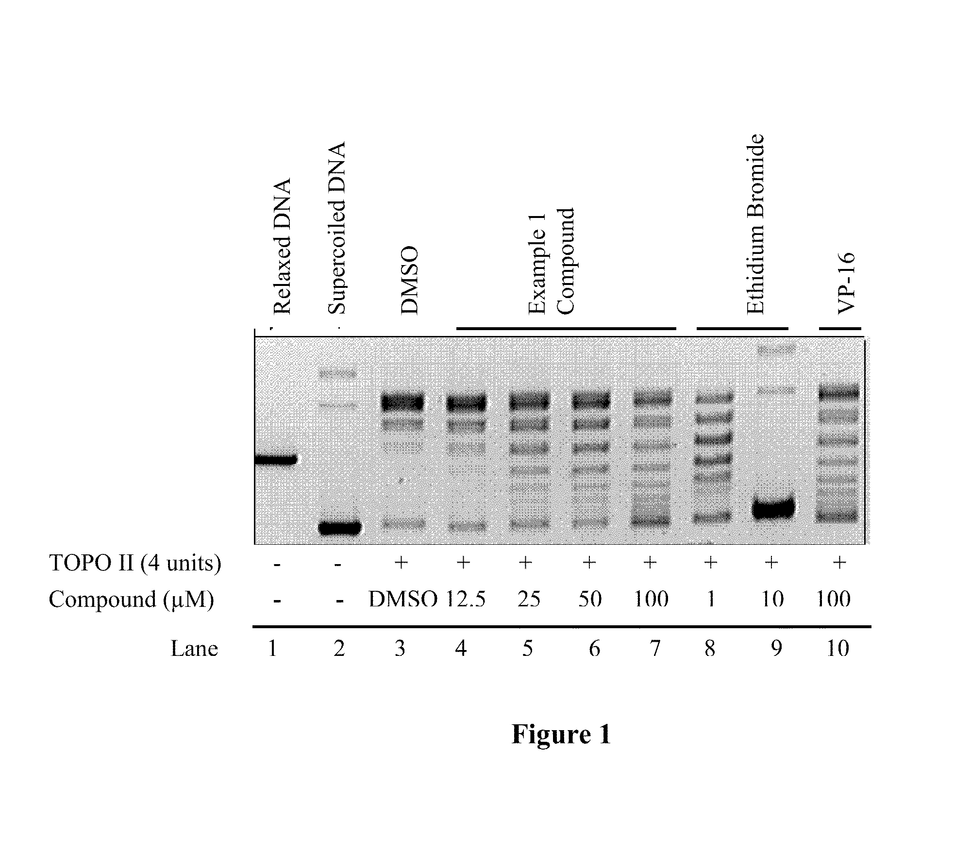 Compounds and therapeutical use thereof